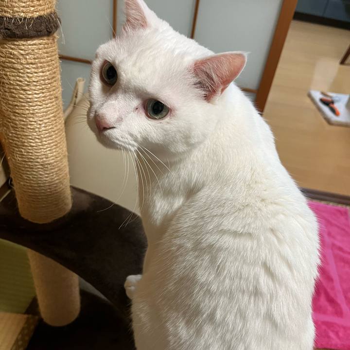 Bef68660 144d 46a7 8a41 d2e67d8bea2e 1662987031880