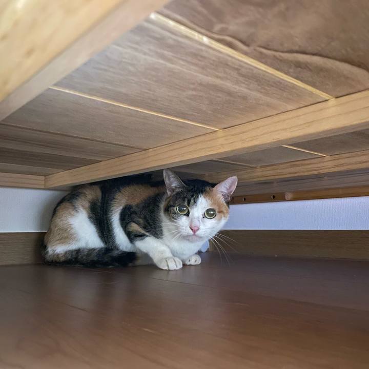 Bef68c9c 9ca4 4871 aba9 803079d2d90e 1665302696769