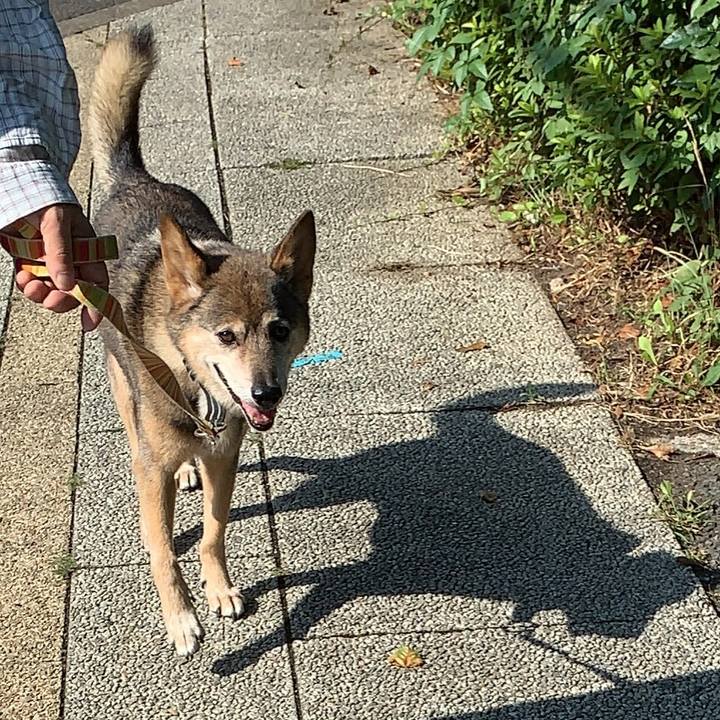 Bef6a355 3d24 4452 bad6 70d7552b259e 1566736961035