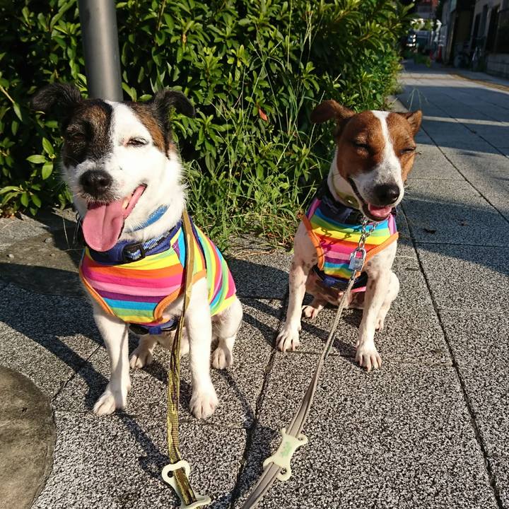 Bef6fc48 c2c6 4443 b342 187f66eda9e6 1597874479137