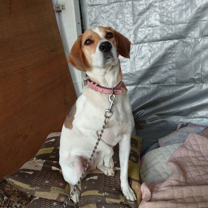 Bef70aaf 9d79 4751 b257 395a71c590e9 1601961124720