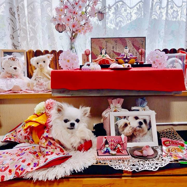 Bef78e33 d467 481a 8dc0 9f69a62495ba 1772511375873