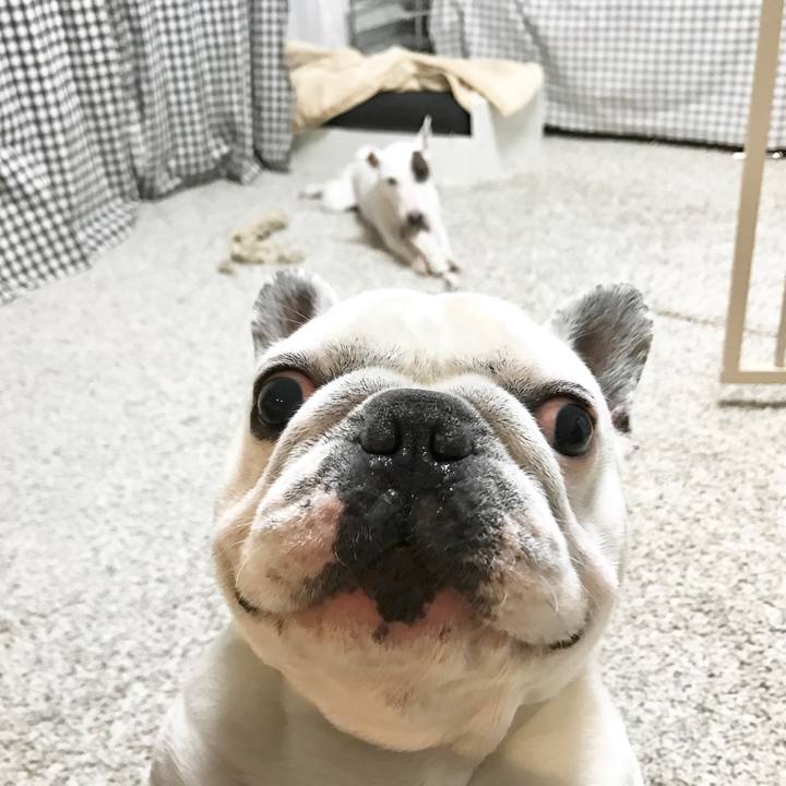 Bef7ac0f a9af 4487 92a4 3326b74fd391 1513147416875