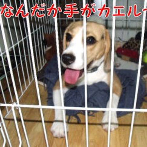 Bef7cd77 dc1c 47f4 ade7 24968761f4ba 1687563375725