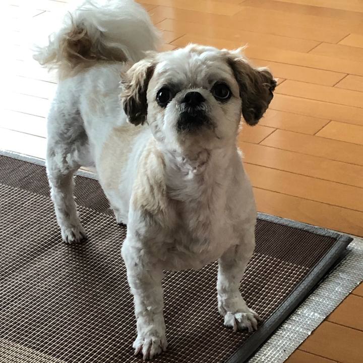 Bef7d45b 24b6 40f4 af14 341d51e72cd8 1593035129065