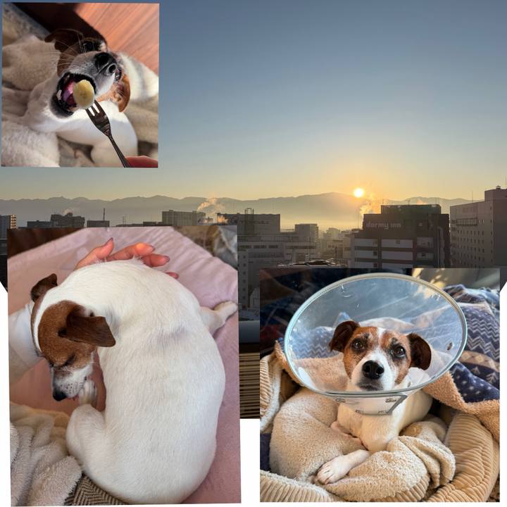 Bef7e664 a0e2 4082 a857 cb3697995351 1766968024556