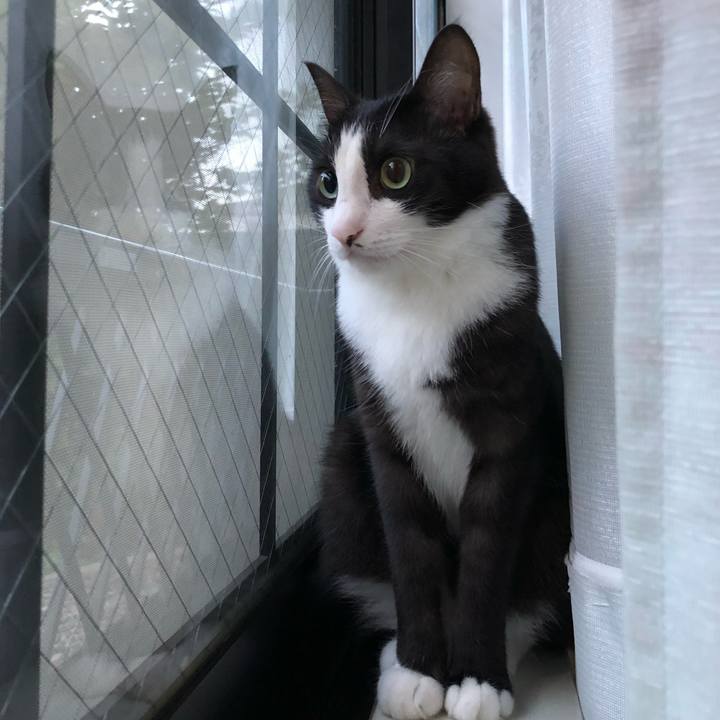 Bef7f594 742b 48cc 848a 24cc433e6d4c 1531424821431