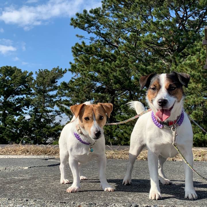 Bef81091 6c56 4f81 b1f1 a43186d5ea09 1575097208319