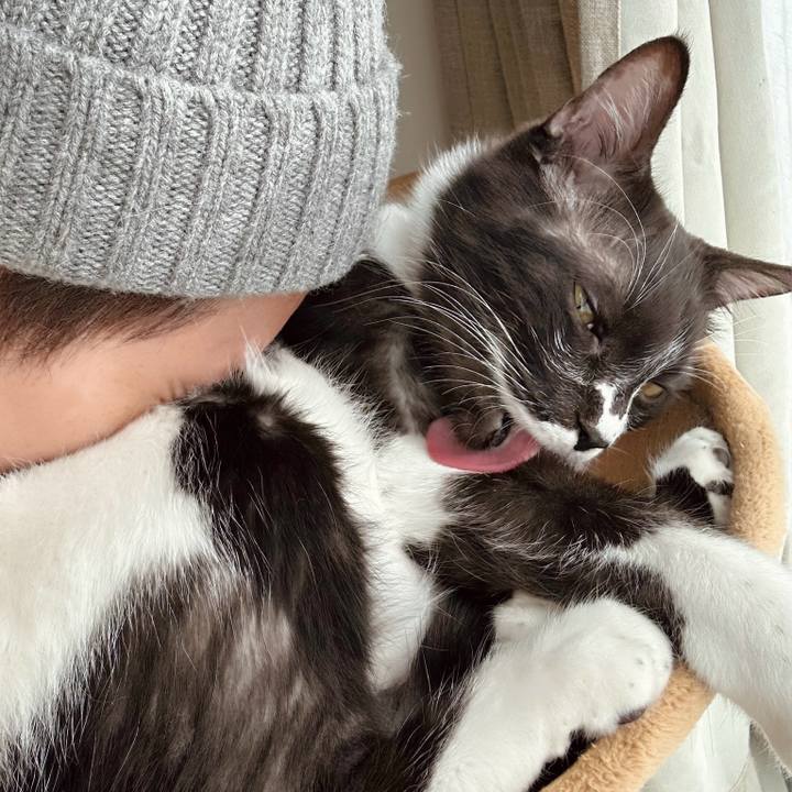 Bef81546 e786 4b77 8e5d 7328962c97c3 1768450686815