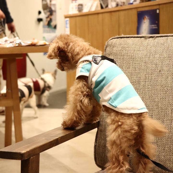 Bef8252e 6f5a 473f 8274 b6a6dcd74c42 1604239029299