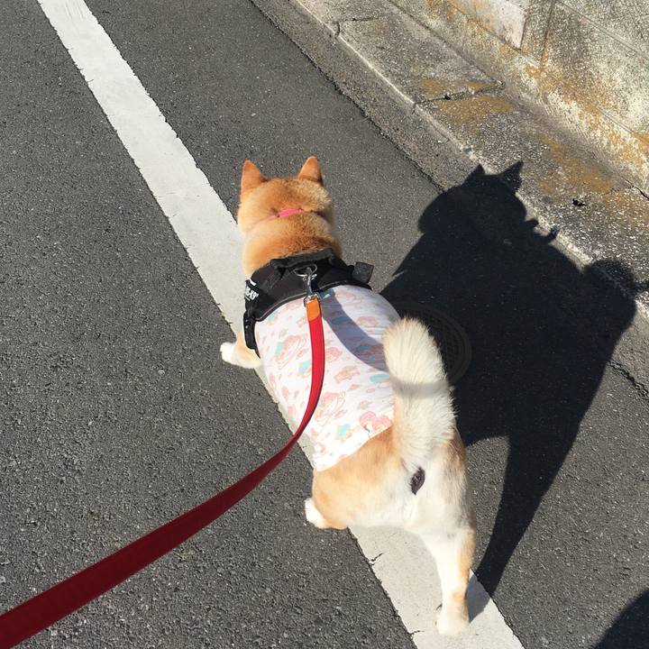 Bef83cef 123f 4880 b640 ffc6f7100287 1583452504358