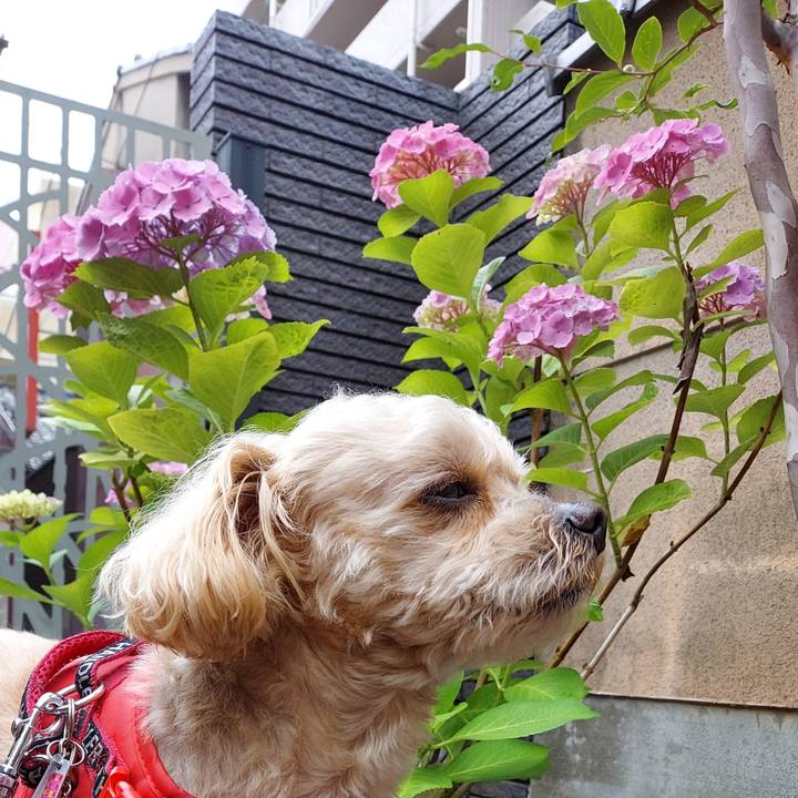 Bef841a5 79fa 4bb9 9033 623aa7786dbb 1685604584313