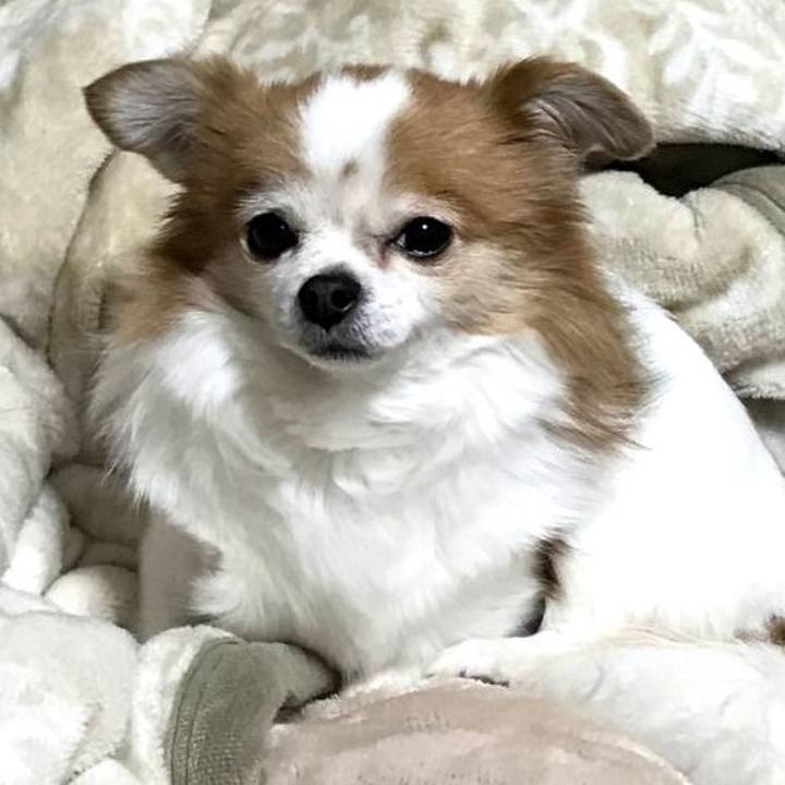 Bef8461b d534 4c8f 8278 067c06e52311 1581159667422