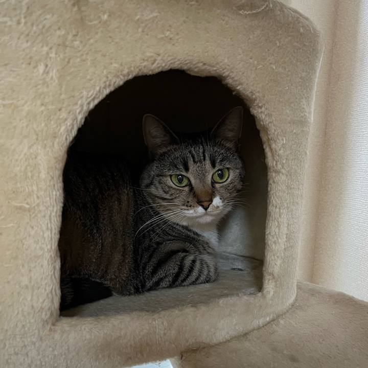 Bef87176 bdf2 4e9a ad75 495e77ed0550 1691071704088