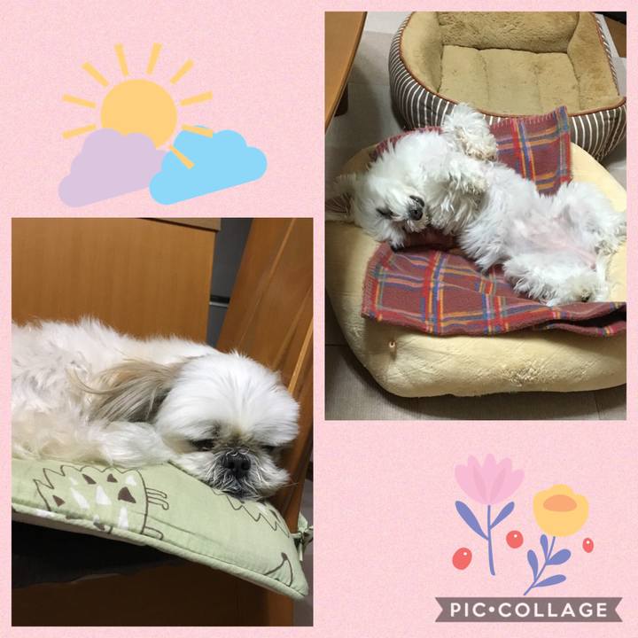 Bef874dc 3cdf 4eca 8112 aec99b1a4bfe 1557661113328