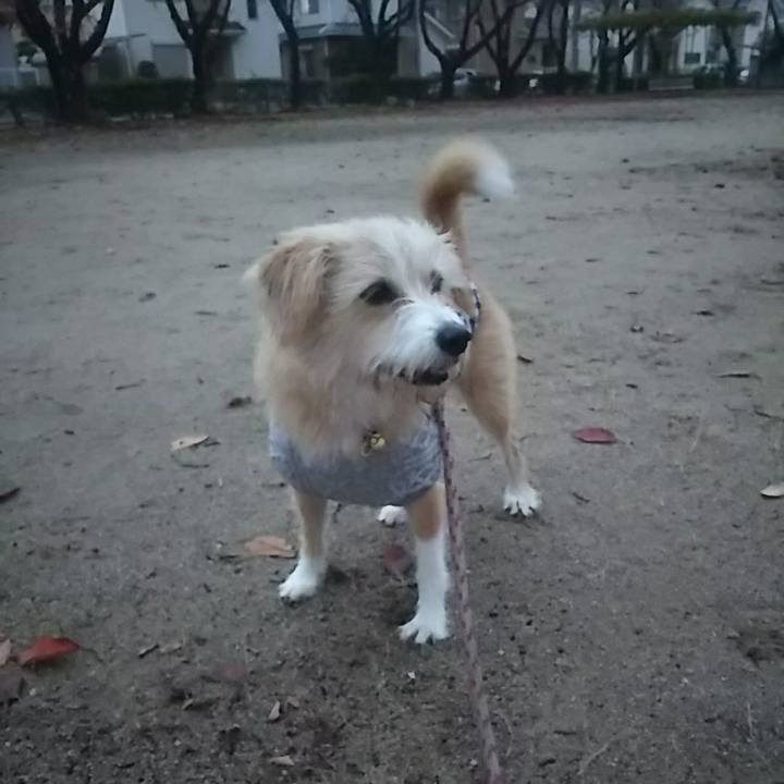 Bef878fd 58c0 410f 84c8 fa9310e36781 1511992370517