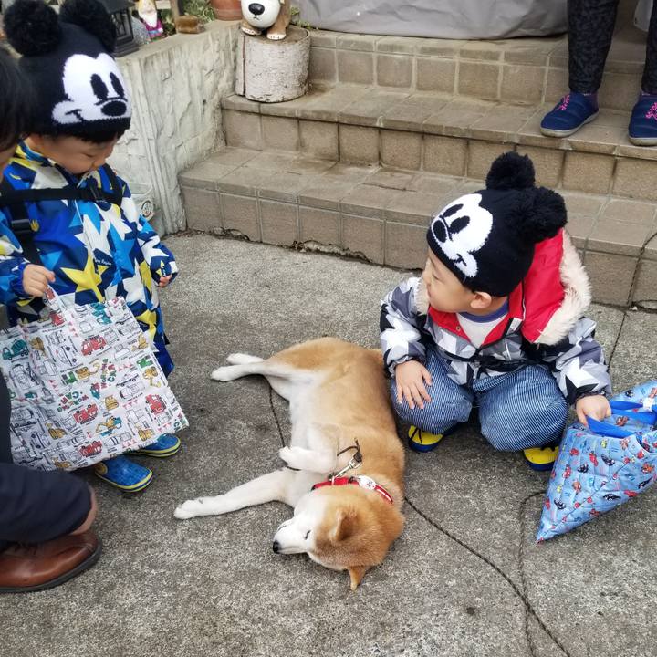 Bef8efb0 781b 439d b760 6366ffff7a66 1709282684814