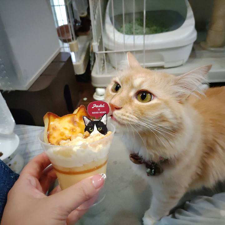 Bef92d2b 4a2e 40d8 935b 6f1a44f14317 1699097825367