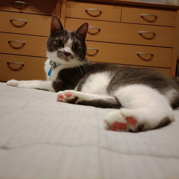 Bef9430a 8576 4225 be53 6b06f0d7904d 1668425548100