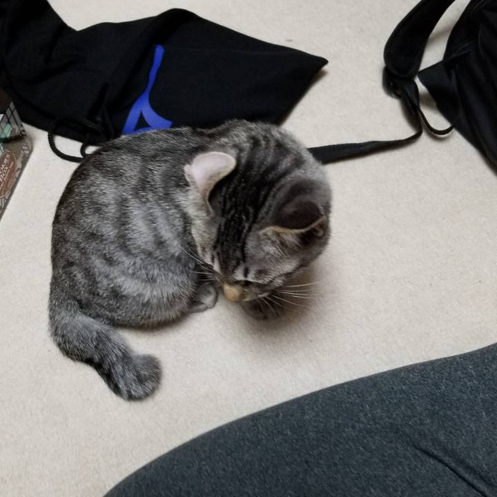 Bef95ef7 2ef5 495d 9eb4 9b611b8dcf9d 1667354643080