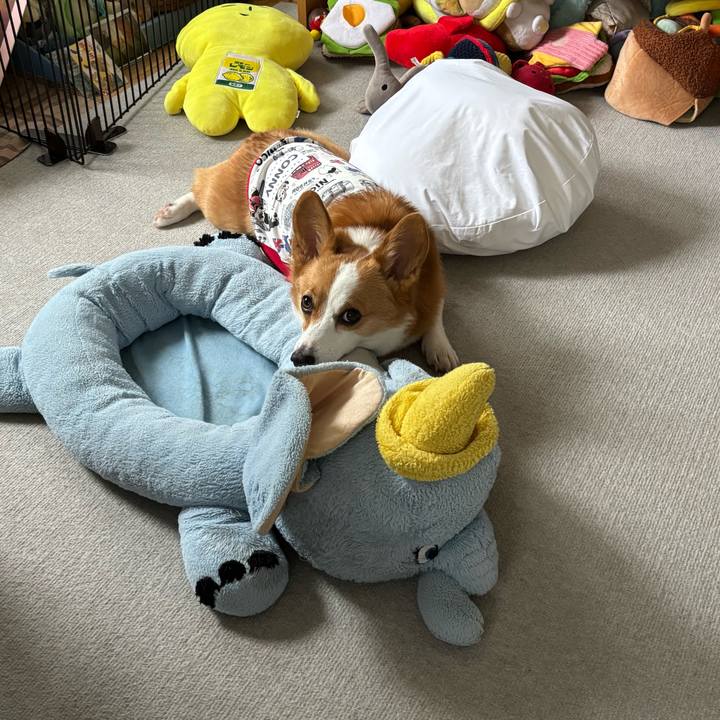 Bef9ae44 b4d8 480c a228 ba6540d4f30e 1761439035615