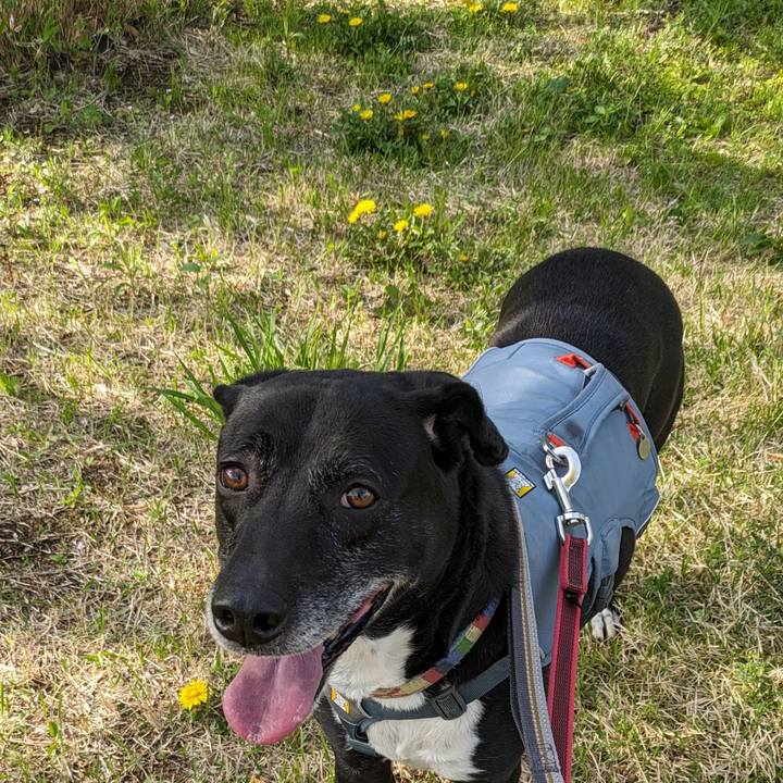 Befa1887 0777 458e 9772 68dbca85a2b6 1713139512209