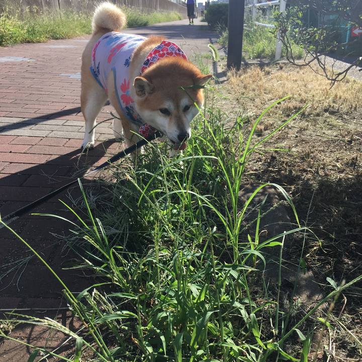 Befa192e 0606 4f33 9009 de00cac1cd41 1567812492111