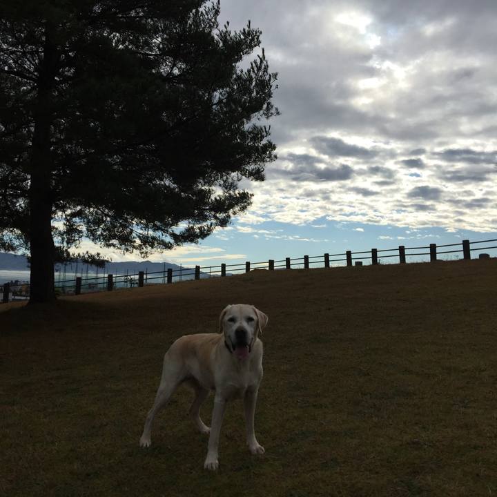 Befa2264 4a48 4f67 8b82 1fa470d5d242 1543887726346