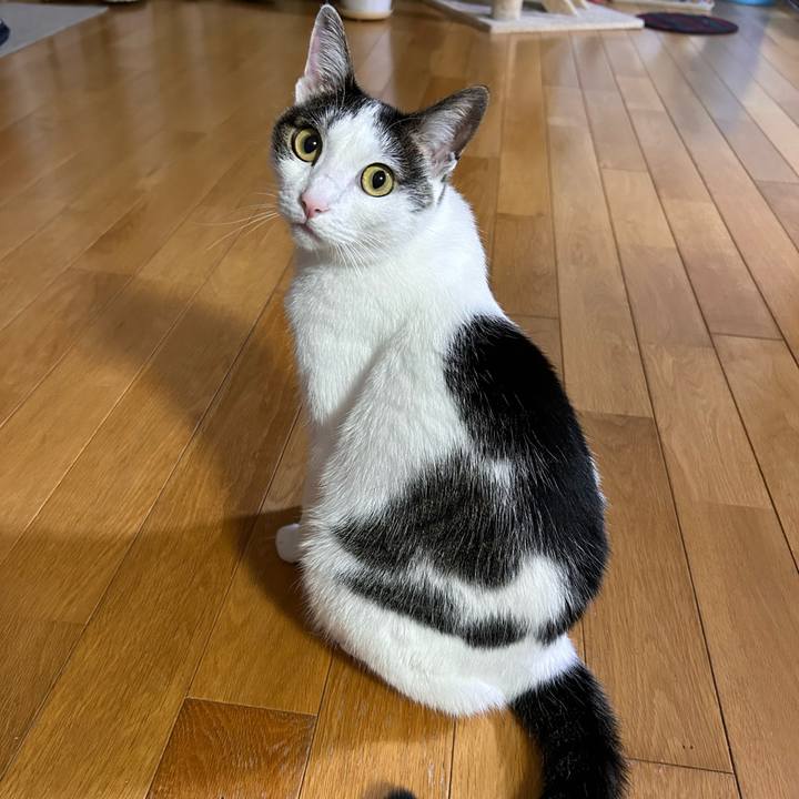 Befa691f 8a1b 4a36 9ee0 29c23624cdf1 1719317755142