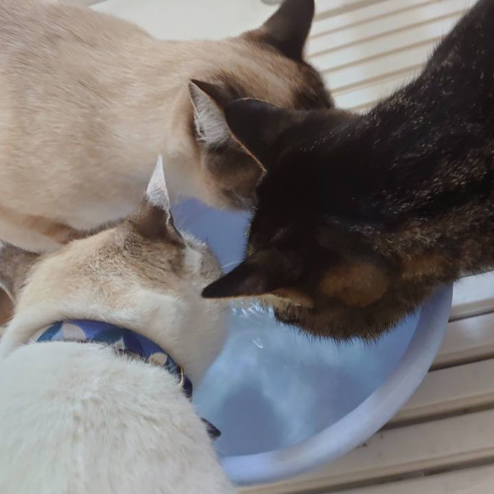 Befa7369 391d 43ca 8408 b758cbea85a3 1612964725924