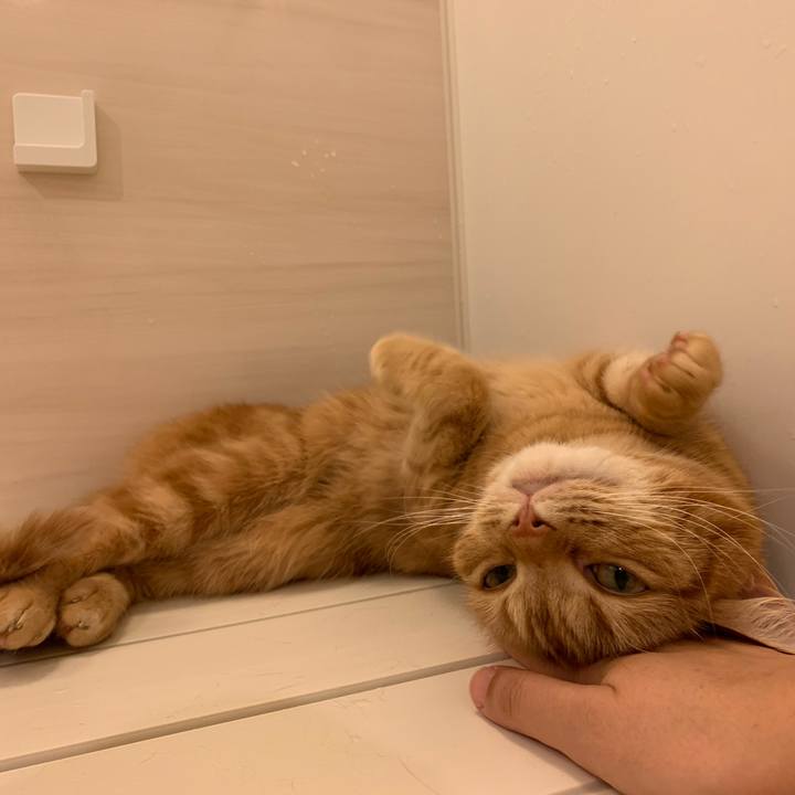 Befa7a91 0d78 4eaa 9403 e17c70802e74 1620092348978