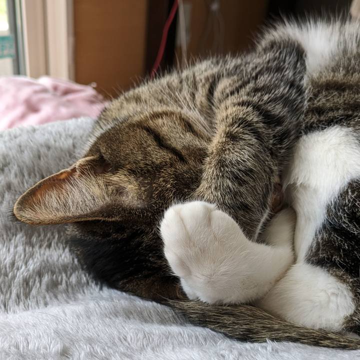 Befa7bca 0303 4ef6 847b d8343ef5f7ec 1713840484382