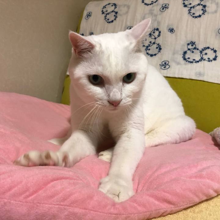 Befa8116 24d3 4db9 9985 99bd2b8908bf 1630669383134