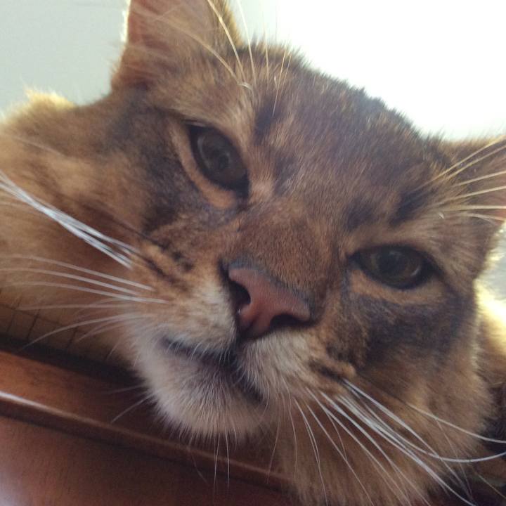 Befa9382 017e 45a7 9054 0b4fa2a98ff8 1595982545925