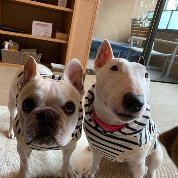 Beface43 8bf7 47ba 81ca 10239e88236a 1555247605917