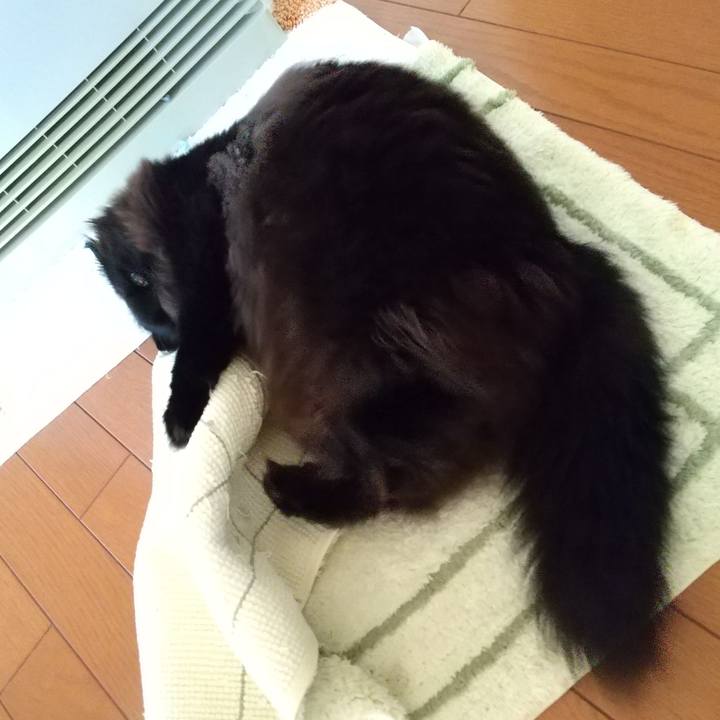 Befb172a f768 40e5 ac98 e4abc31f50e0 1702248510158