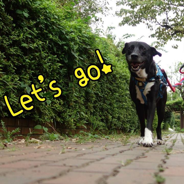 Befb39d0 ea5f 41ff 96c1 4611e8c5f94b 1630369353030