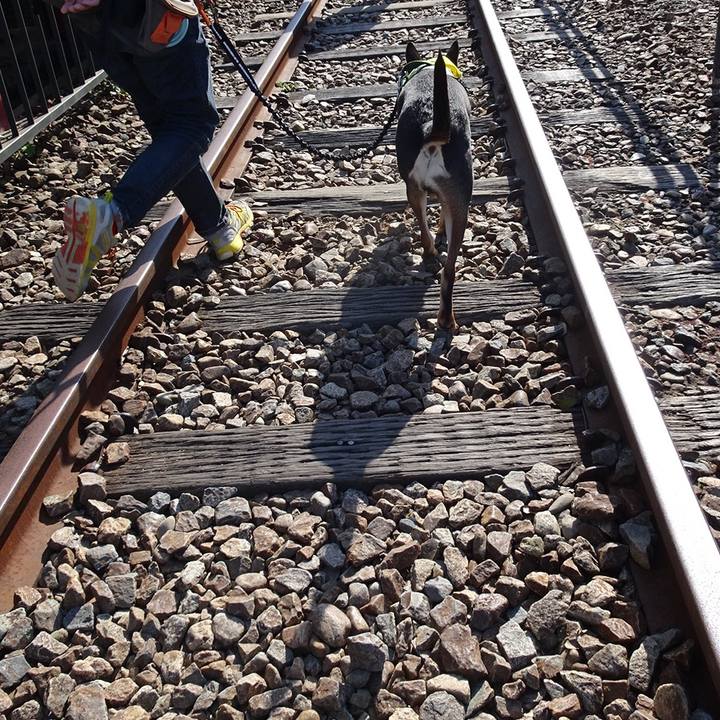 Befb4771 f3e1 4265 a7dc 486a50317244 1525437718655