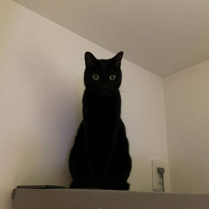 Befb5071 cc4f 421f 9e9c 3cd821e52b55 1571265181491