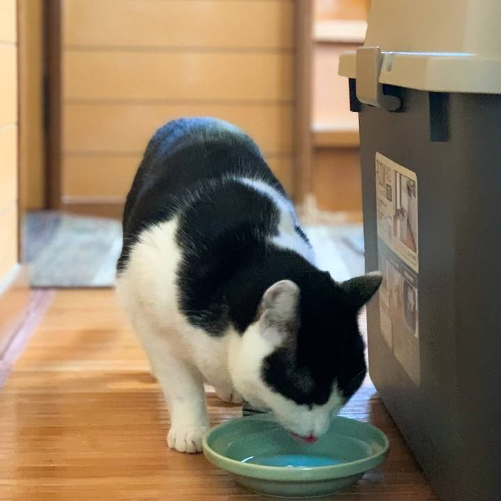 Befb56ab 0468 4e84 a019 bf980bfbffe6 1580349506204