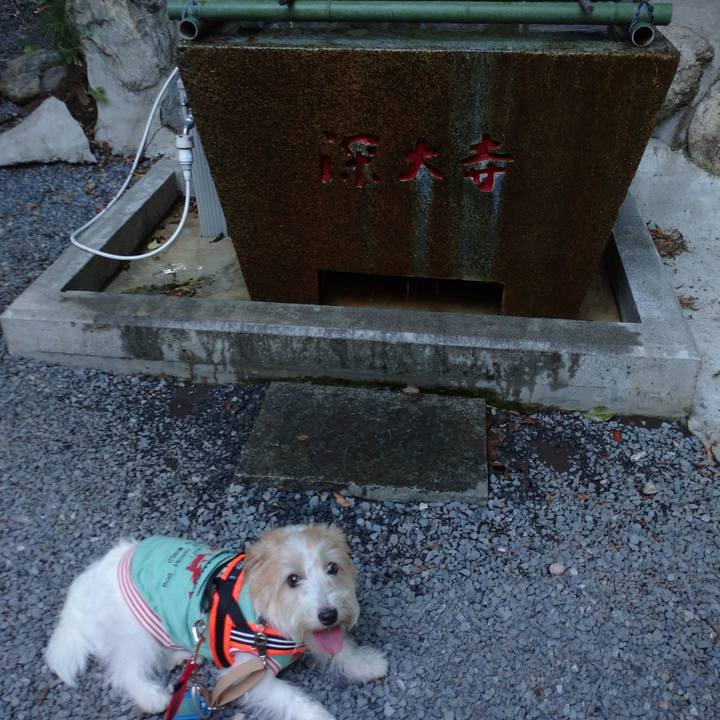 Befb95de 85c1 449d a9cd 3ec329e59854 1757278346795