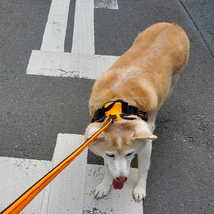 Befb9d4f 6d4b 4668 b7ba d0d135d5ca83 1622431459803