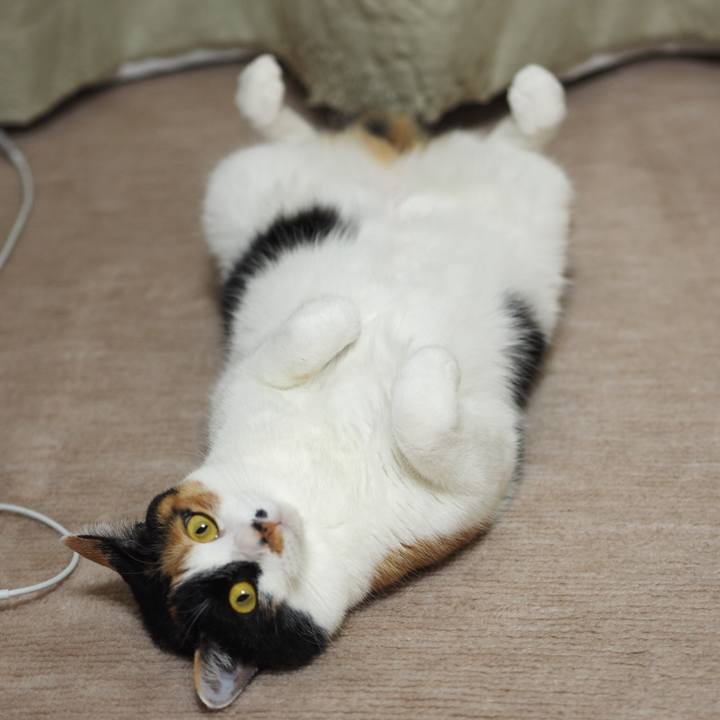 Befbabe0 8633 4778 989f caaa70757e69 1523832815173