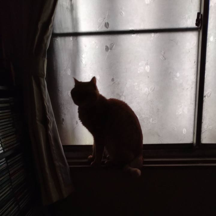 Befbb14c 4206 4f3a bc3f 8b5bcce51469 1670283930099