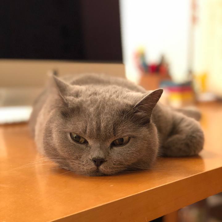 Befbb38f ab28 423c 9cd3 719ac5795050 1526570618318