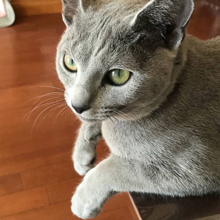 Befbb972 6901 46e4 8d06 a4f548524cd5 1517951166891