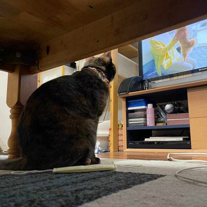 Befc3763 897e 458a 876d 55847a446515 1736692052400