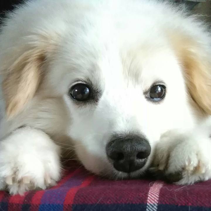 Befc6428 677a 4234 8db1 9ef396acee33 1531258503047