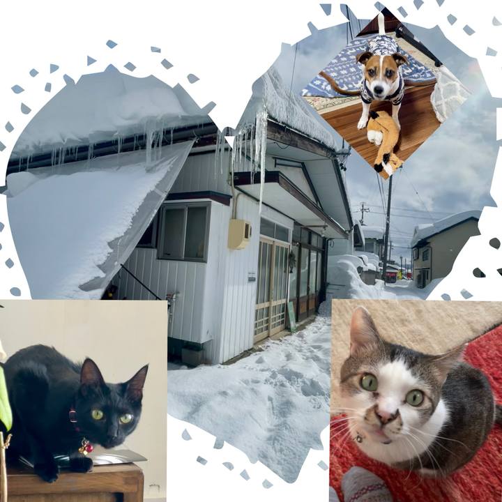 Befc84b6 68a0 4951 918d 502eff2cdcc8 1738945474683