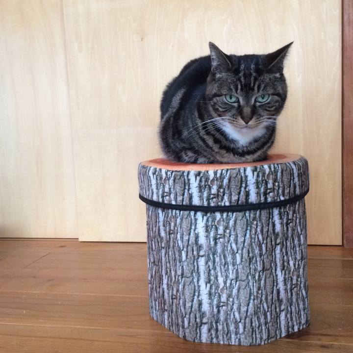 Befc9447 b7d5 4aa7 be8a 7b85821ff1d2 1523752663076